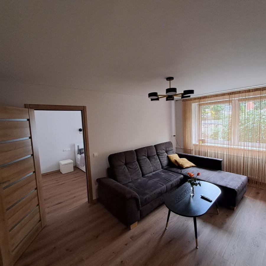 Vytes Apartamentai Kaunas Exteriér fotografie